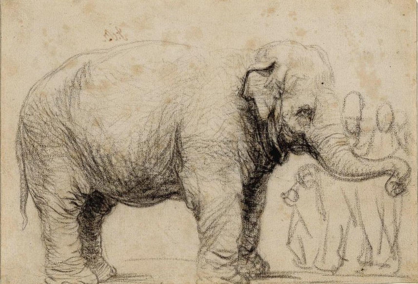 Rembrandt (1606-1669)  Hansken, The British Museum 
